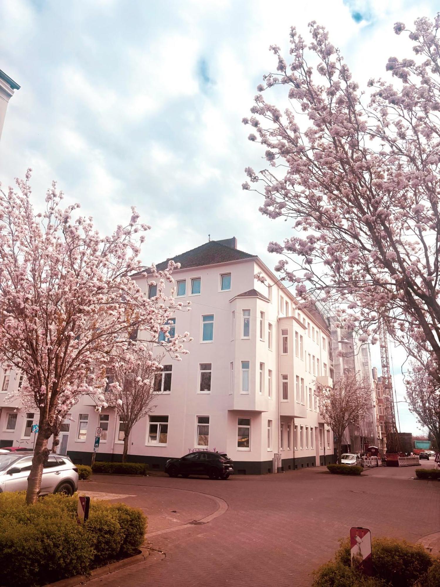 Apartment Ueber Whv In Toplage 3og *